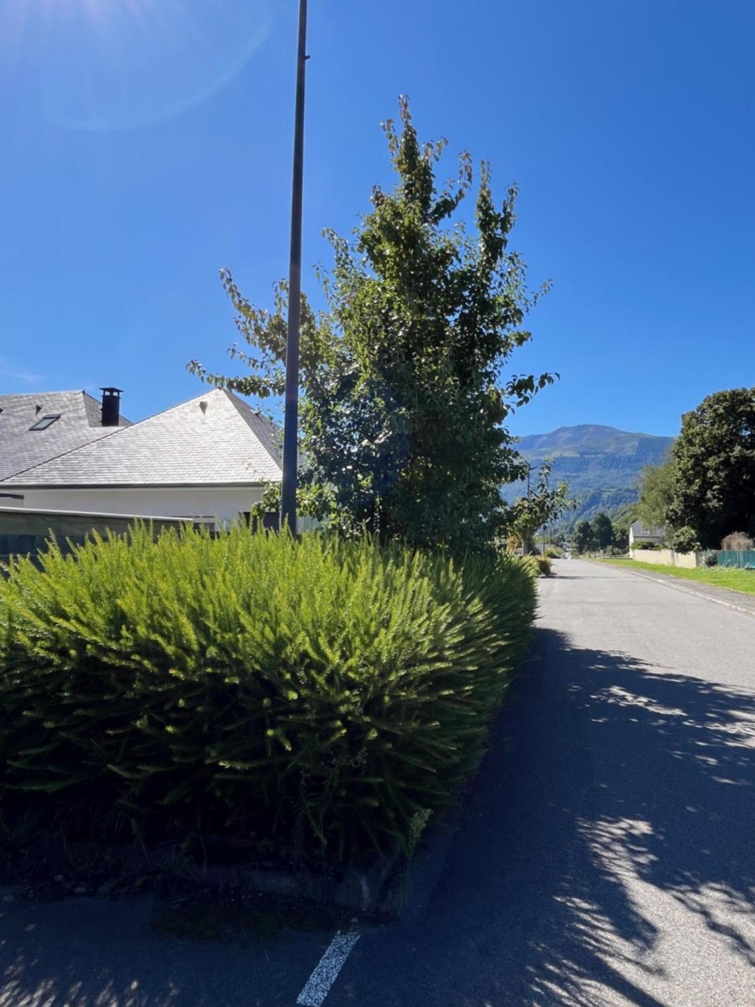 La Maison De Lilette Proche Argeles Gazost Ayzac-Ost Exterior foto