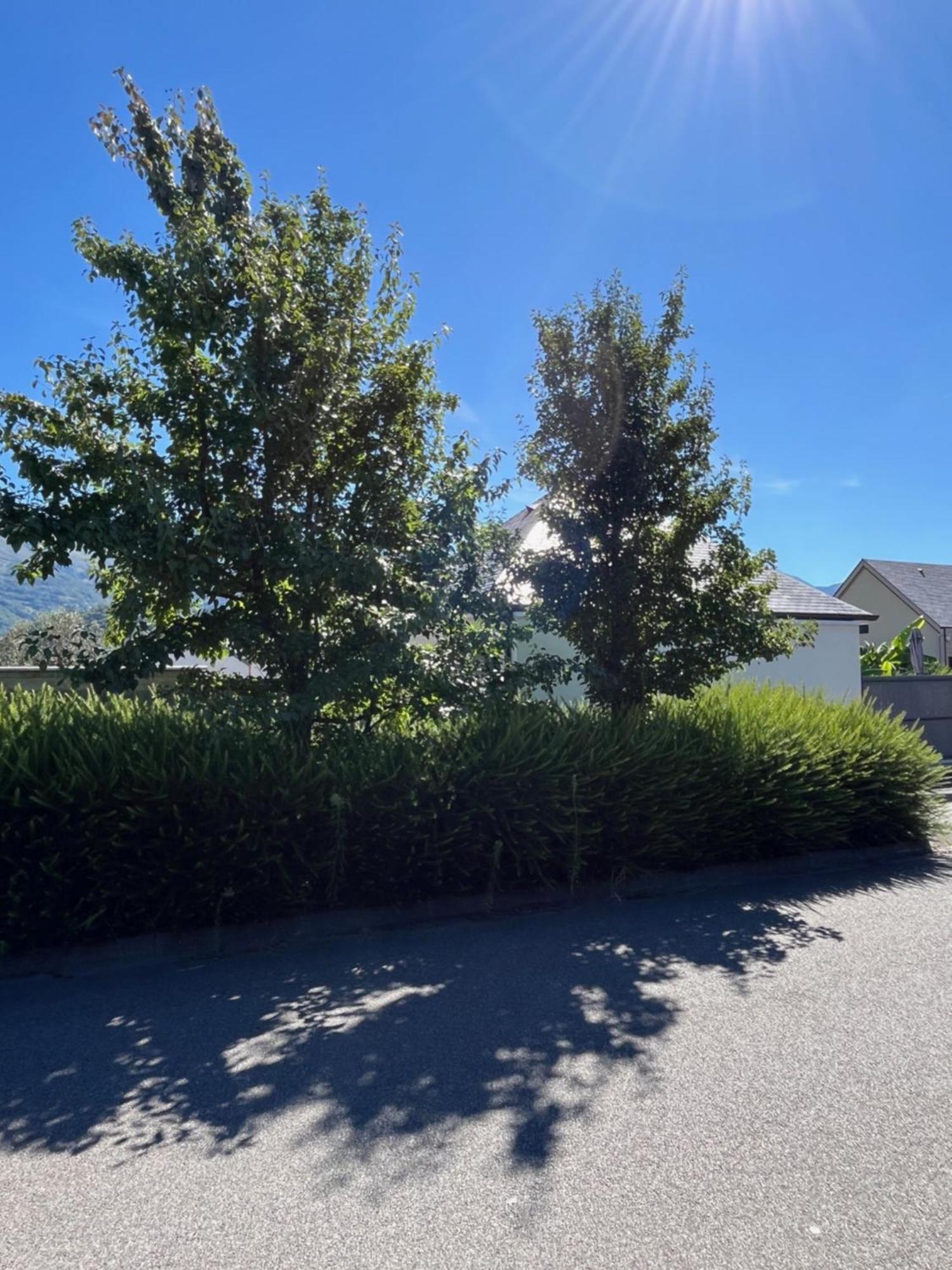 La Maison De Lilette Proche Argeles Gazost Ayzac-Ost Exterior foto